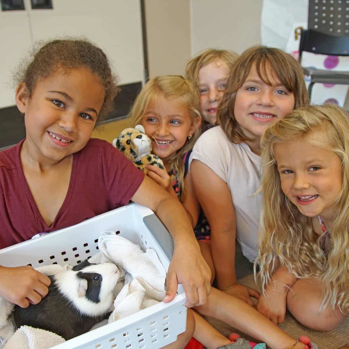 468321981 10159889964736741 6293683272061431236 N