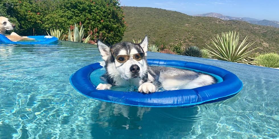 481910987 1209258307227608 2546292415048396562 N