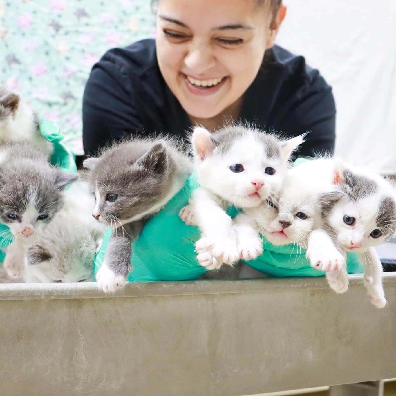 488558278 1231954911624614 8340450537521279623 N