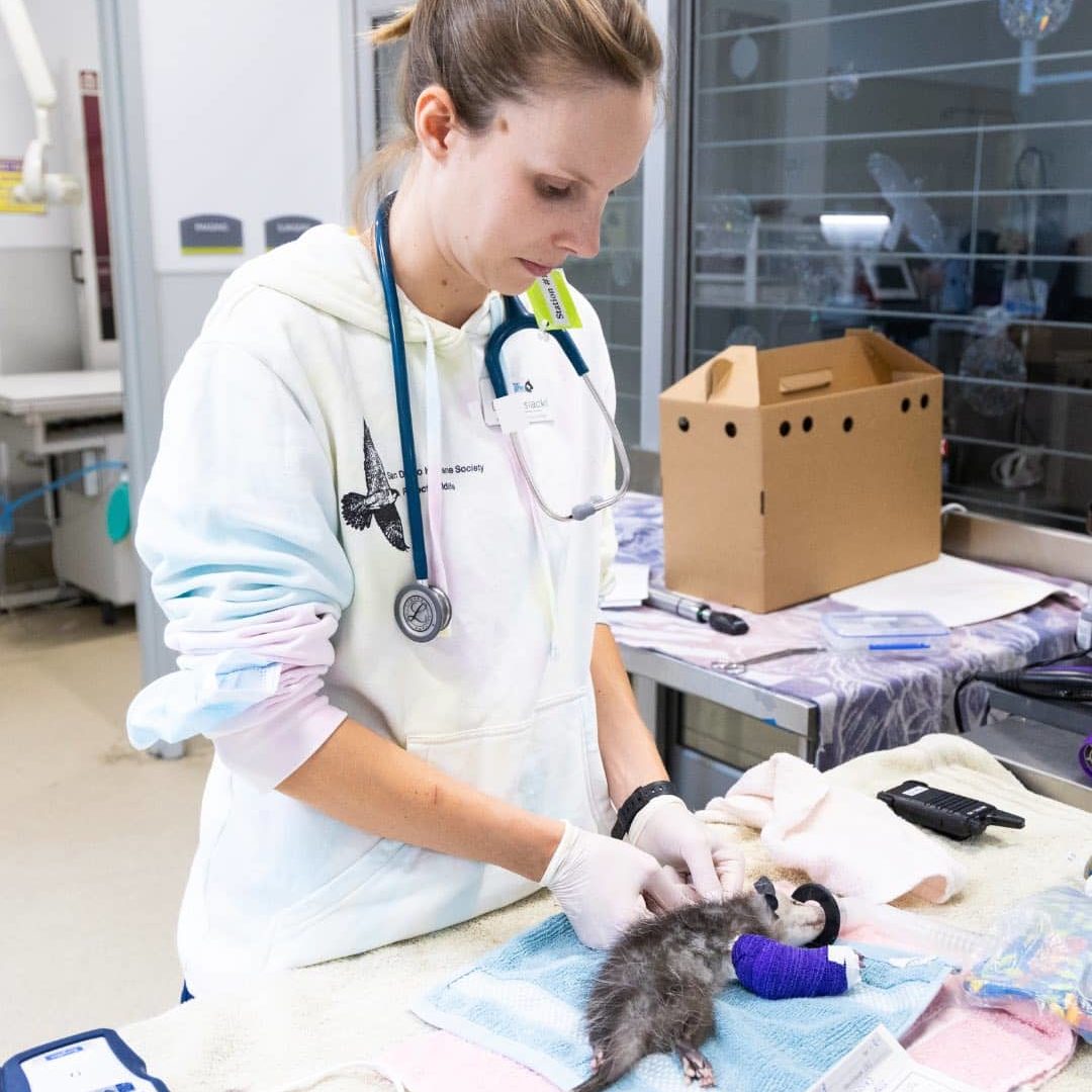 493273453 1247852930034812 1742846132067365278 N