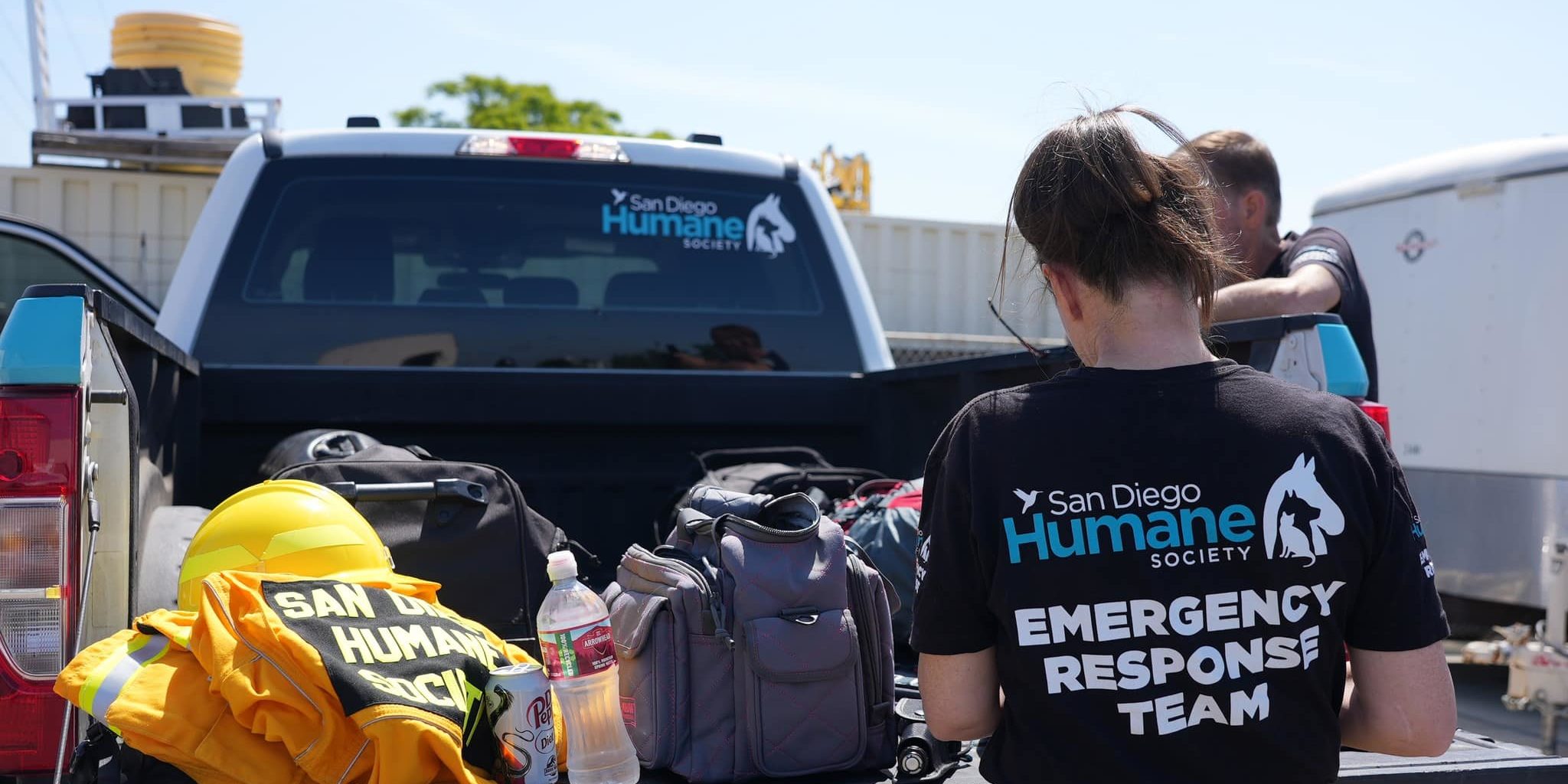 497930745 1266134184873353 8233019861607722191 N