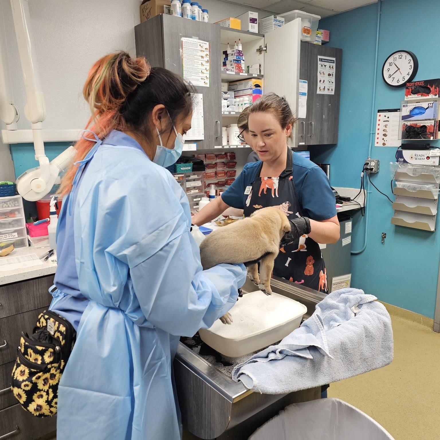 499217658 1266133971540041 6302385656029324144 N