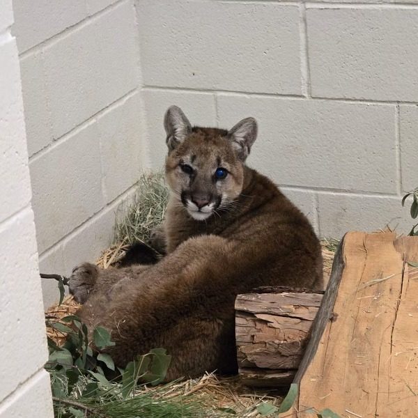 515421563 1296754138478024 3063821262571999868 N