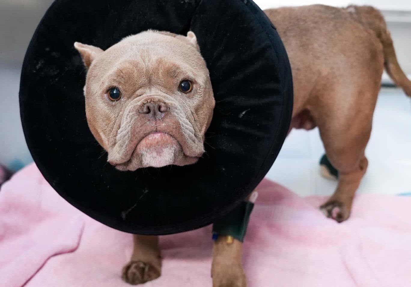 515436107 1319820252838079 2194717833894615281 N