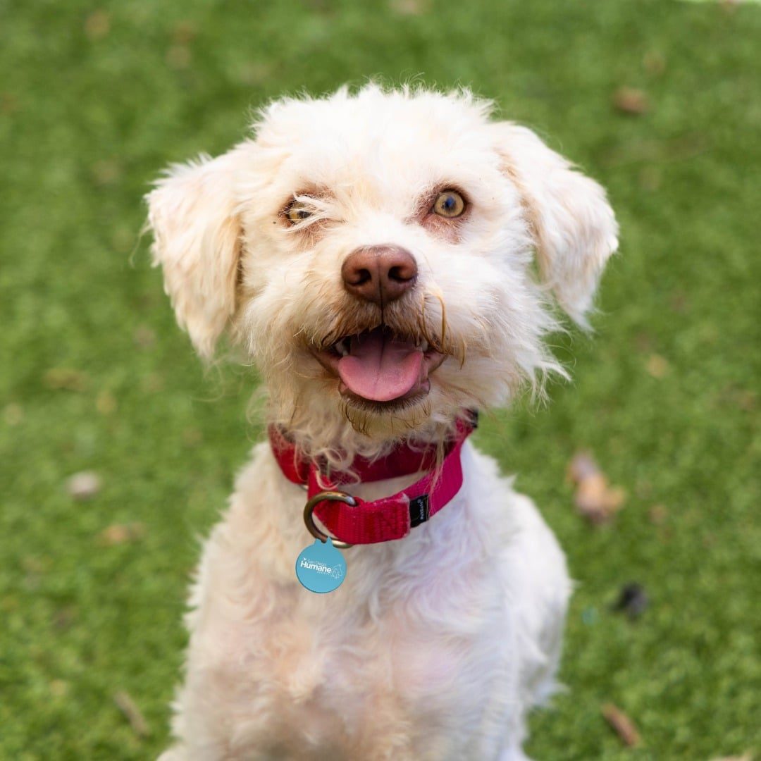 515608240 1325668802253224 7401488436736856129 N