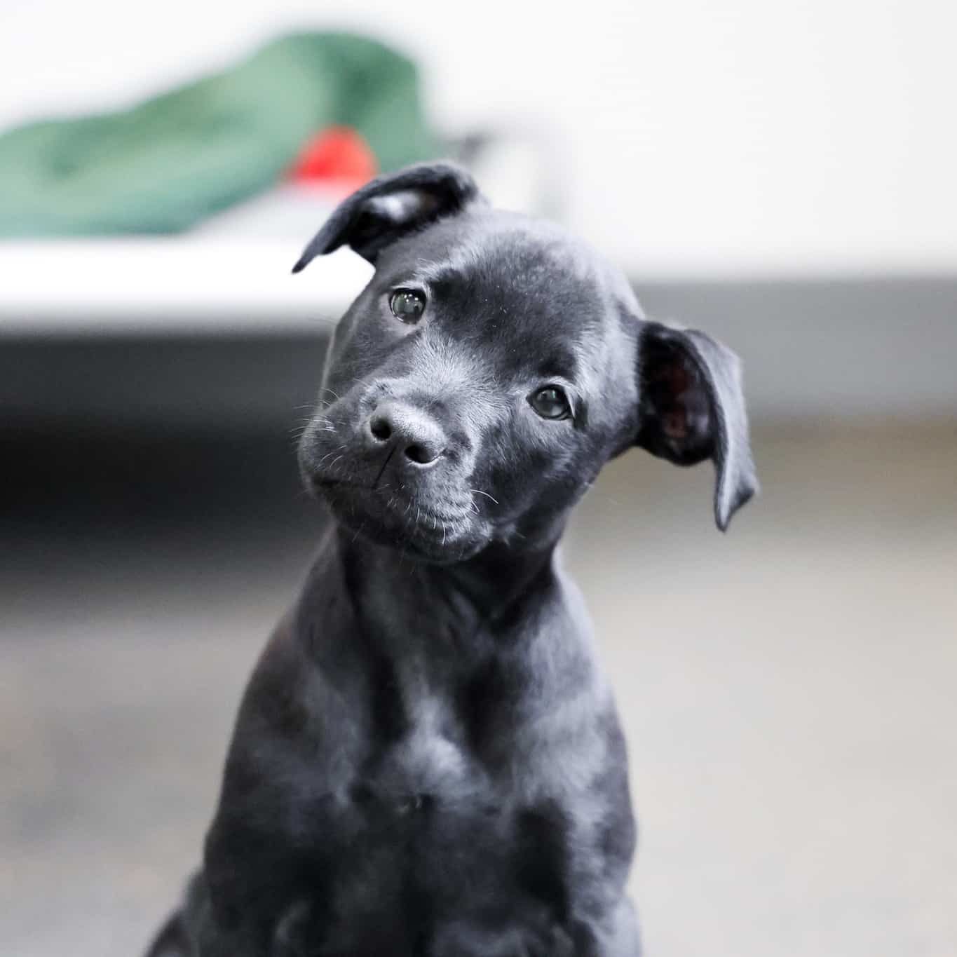 528677681 1322494912570613 5537363235141889891 N