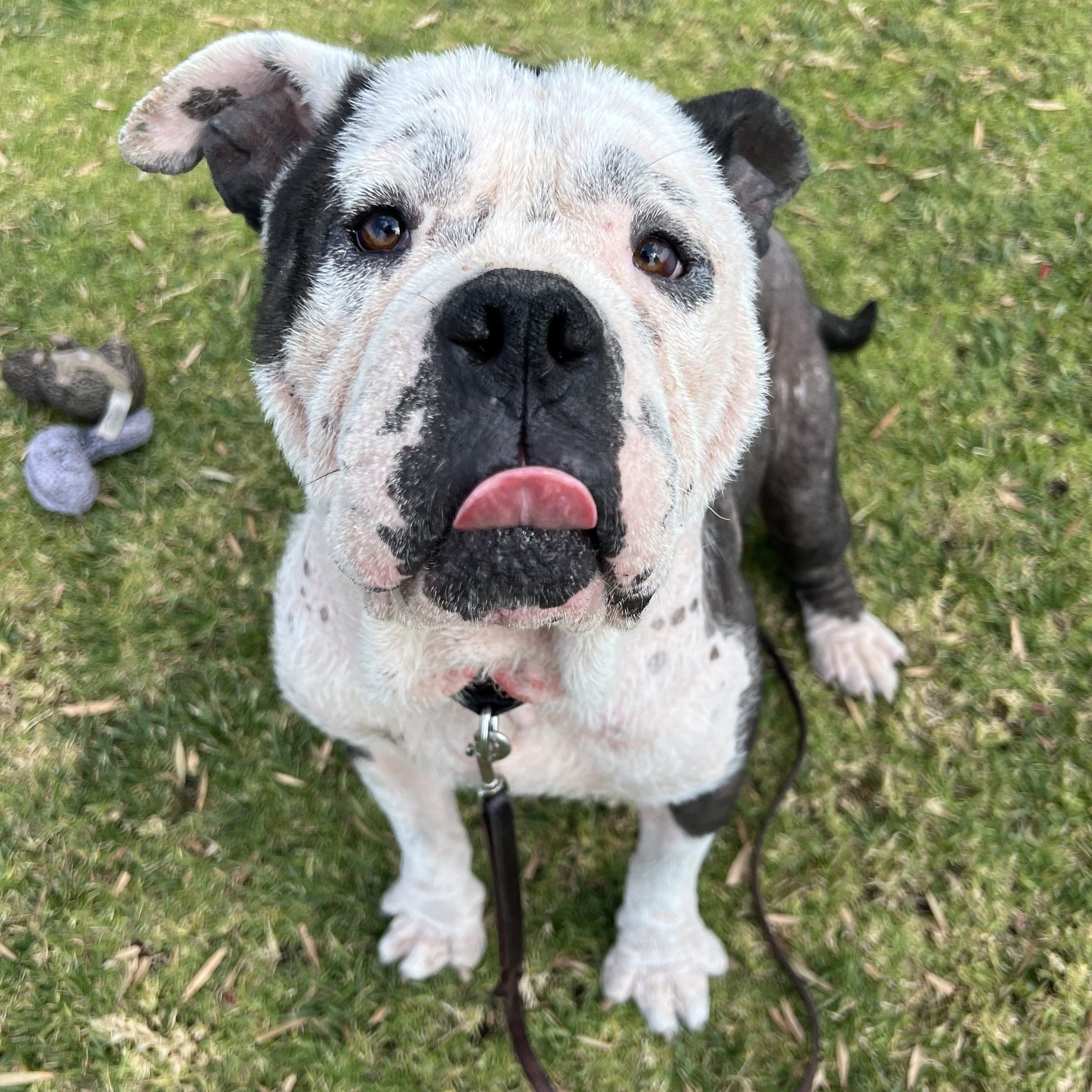 532051873 1330042101815894 3158361506515778684 N