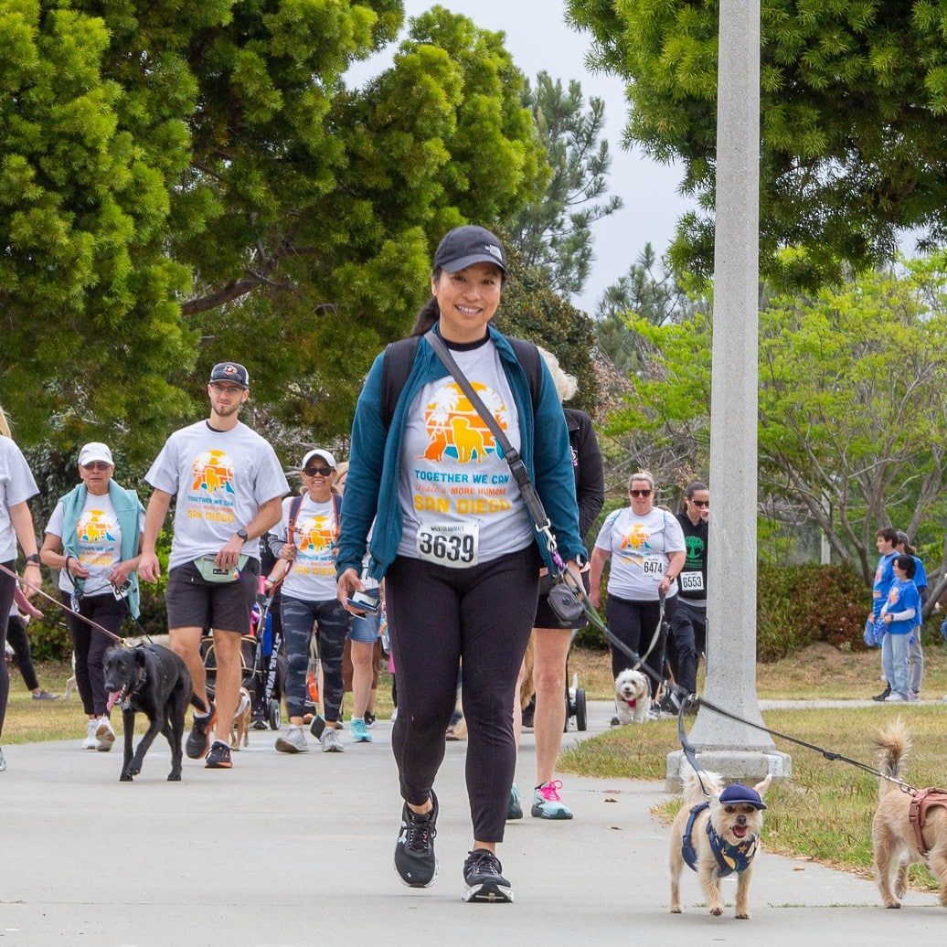 53706654222 3992083720 K