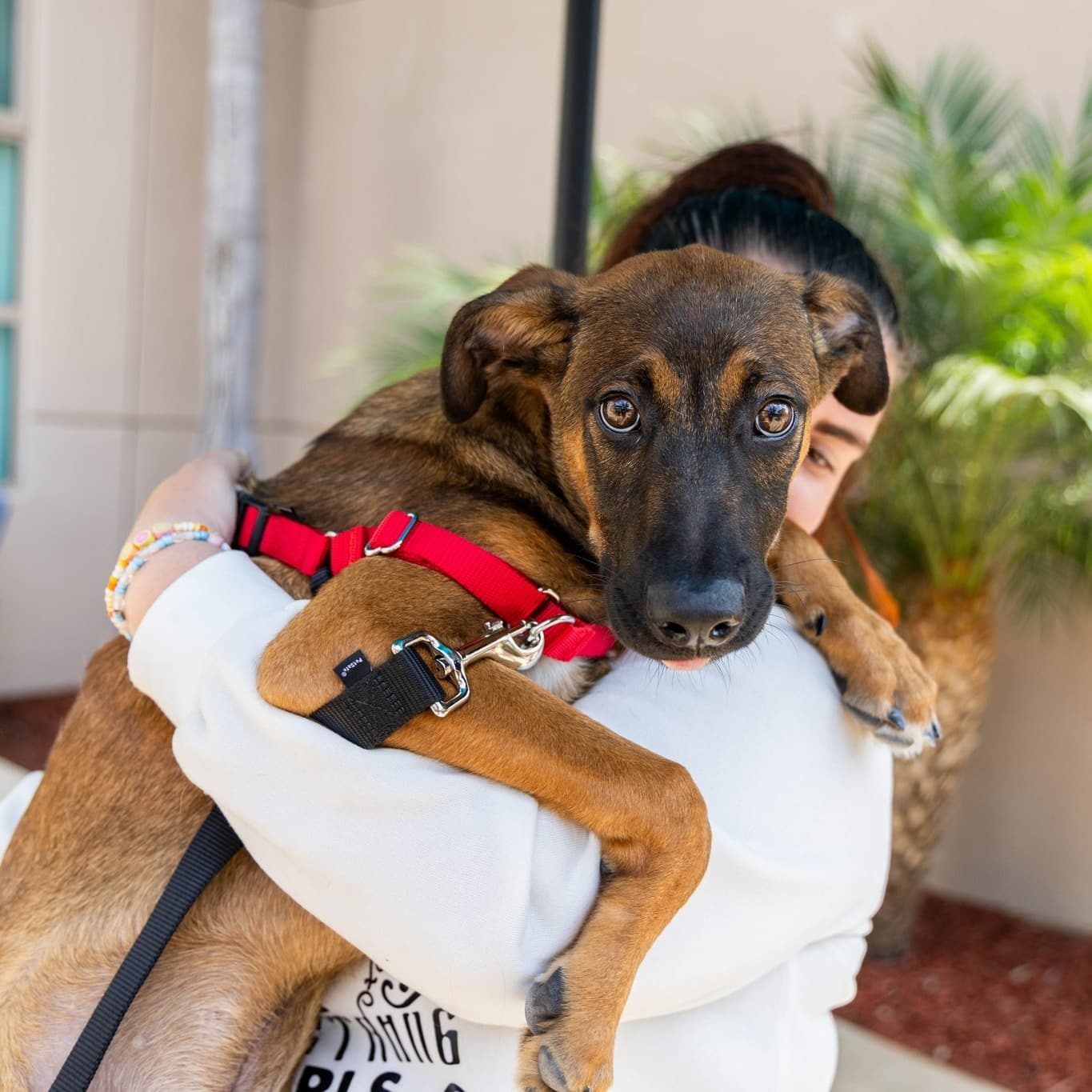 539872319 1341082050711899 2936256781126391190 N