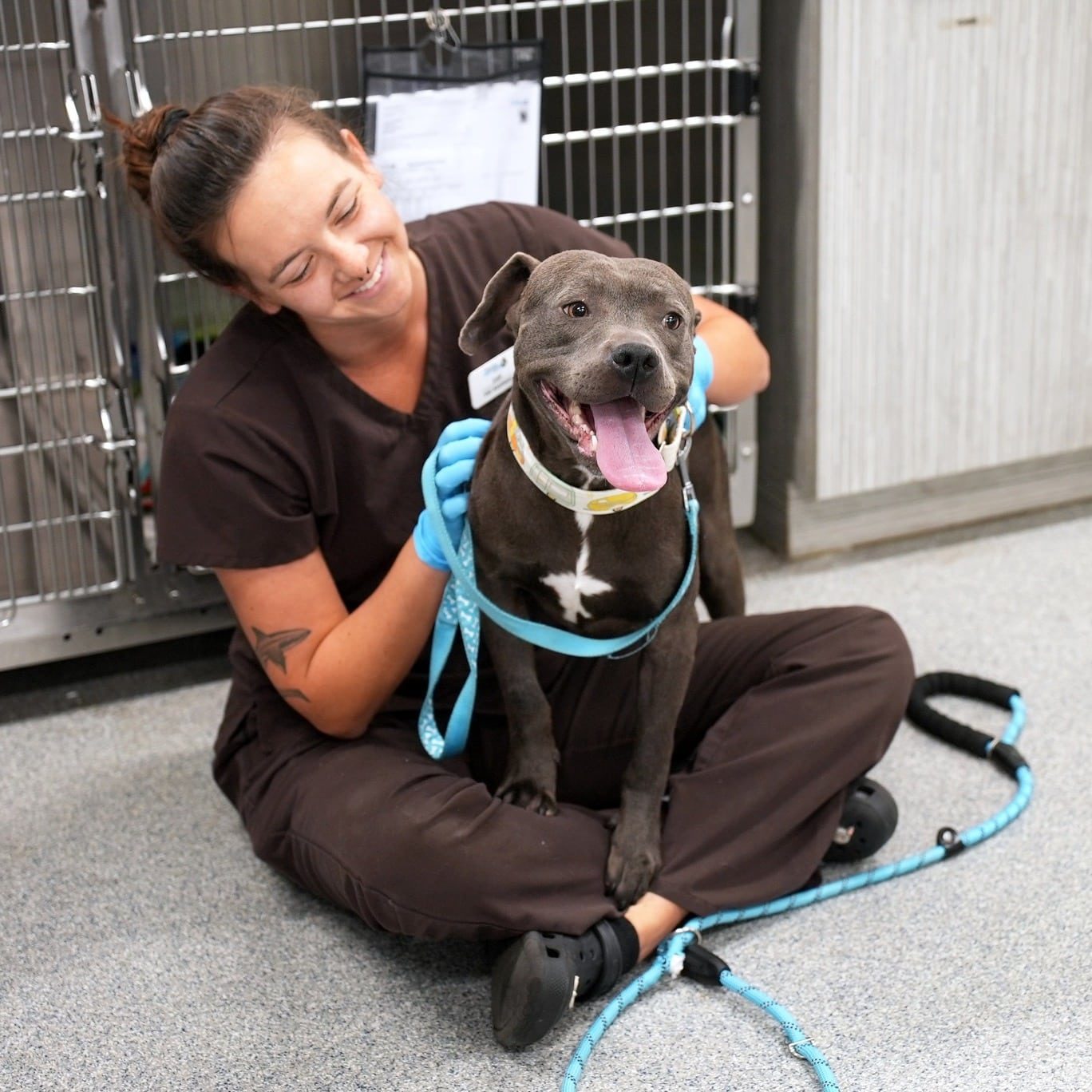 541613004 1348257123327725 5247217527998334563 N