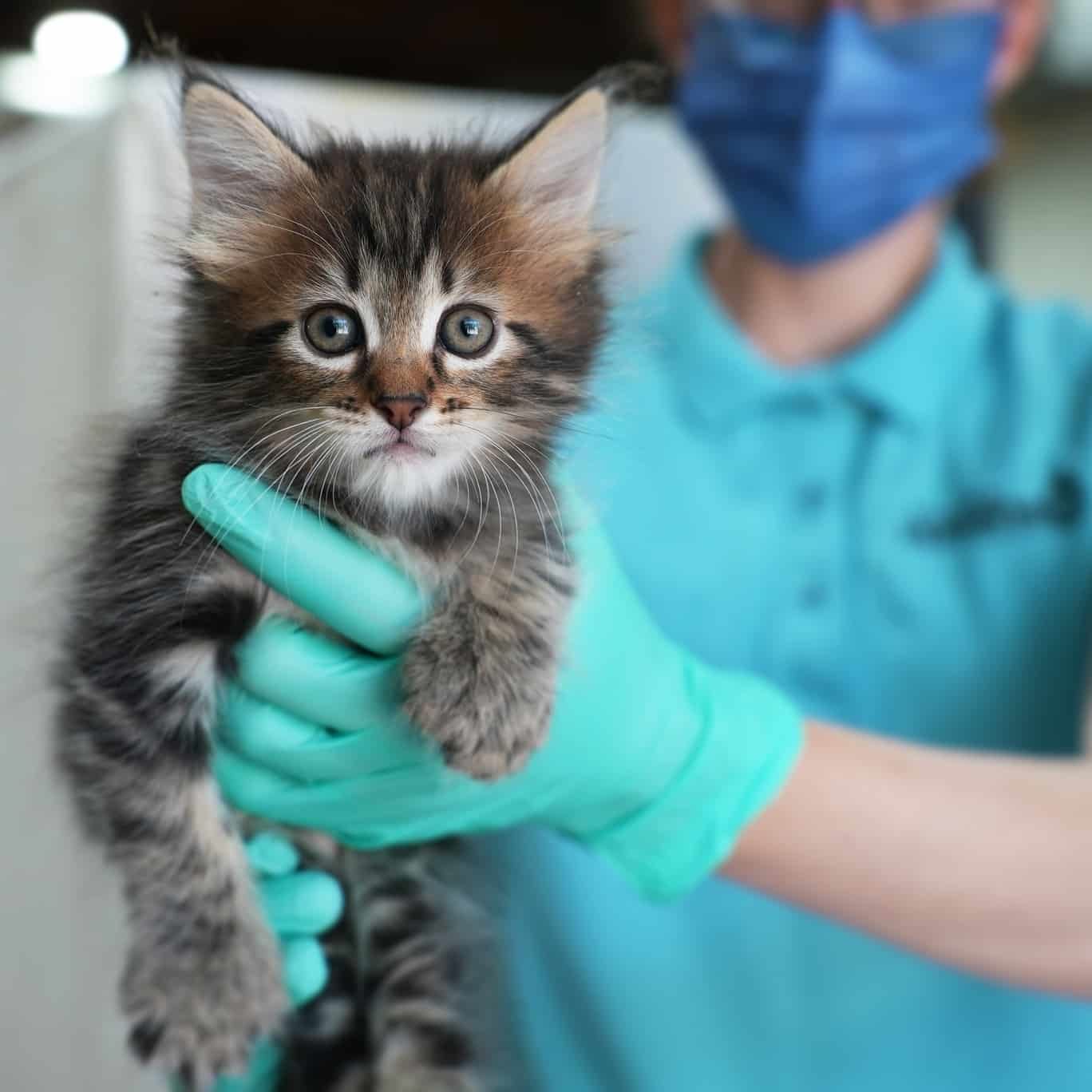 542761740 1348257106661060 6824308328412603972 N