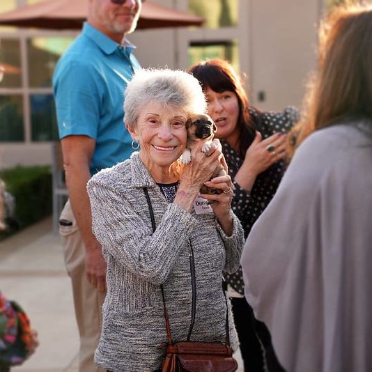 54481714874 4a749dcd24 C