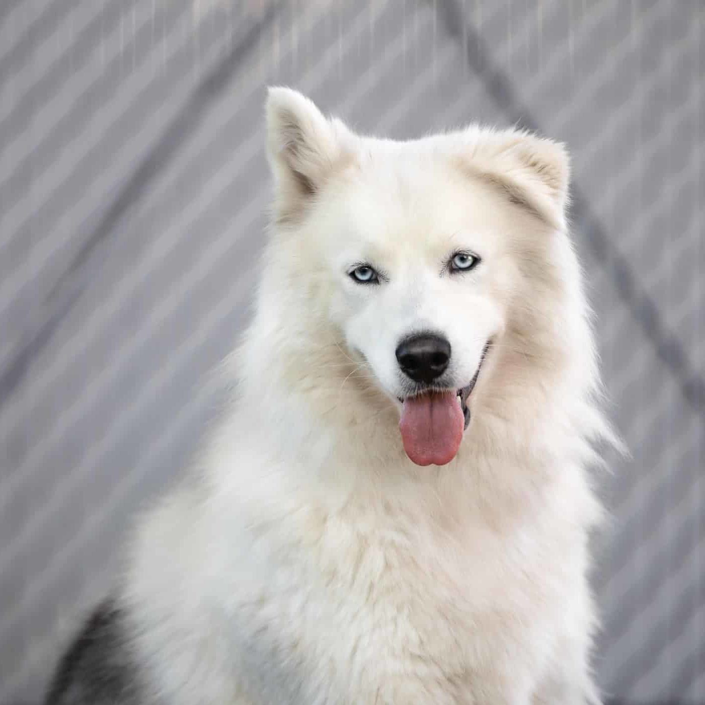 544911181 1352254889594615 6782973266111702133 N