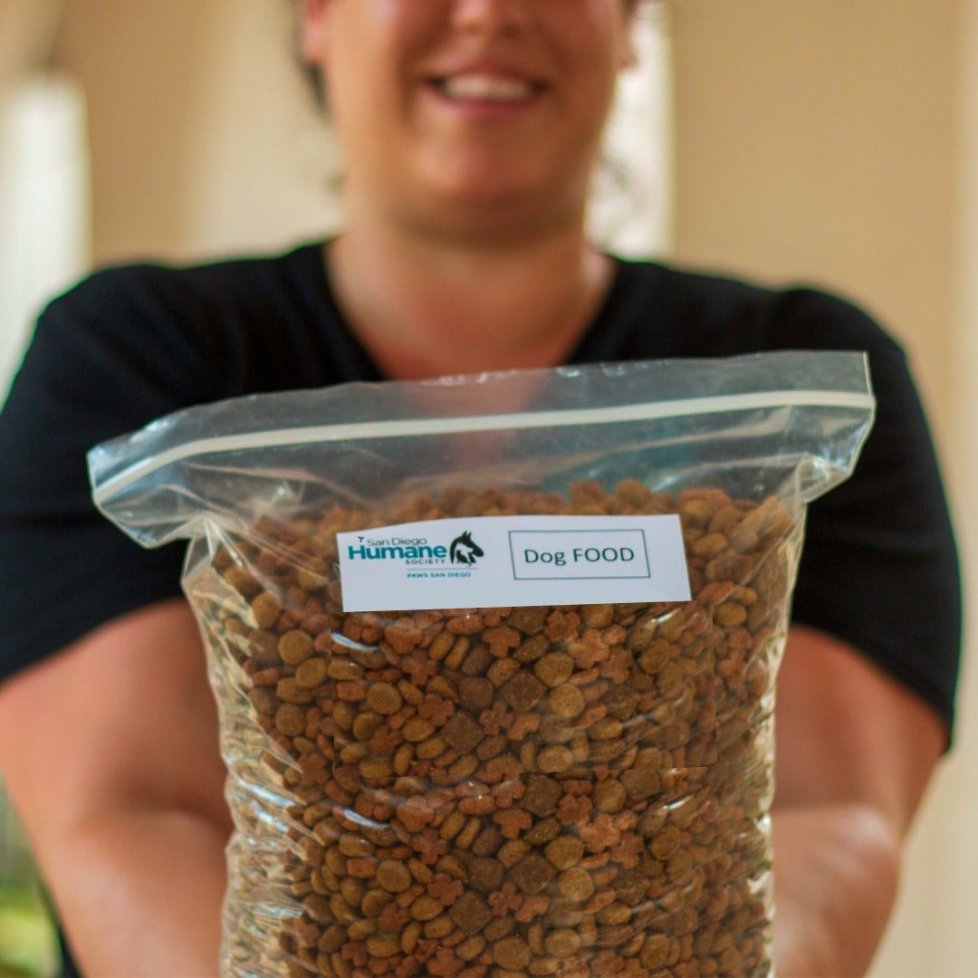 558491141 1373309254155845 568794216758146511 N