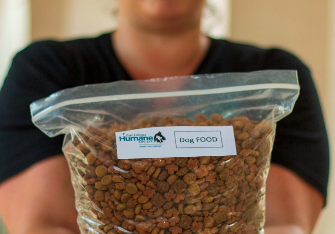 558491141 1373309254155845 568794216758146511 N