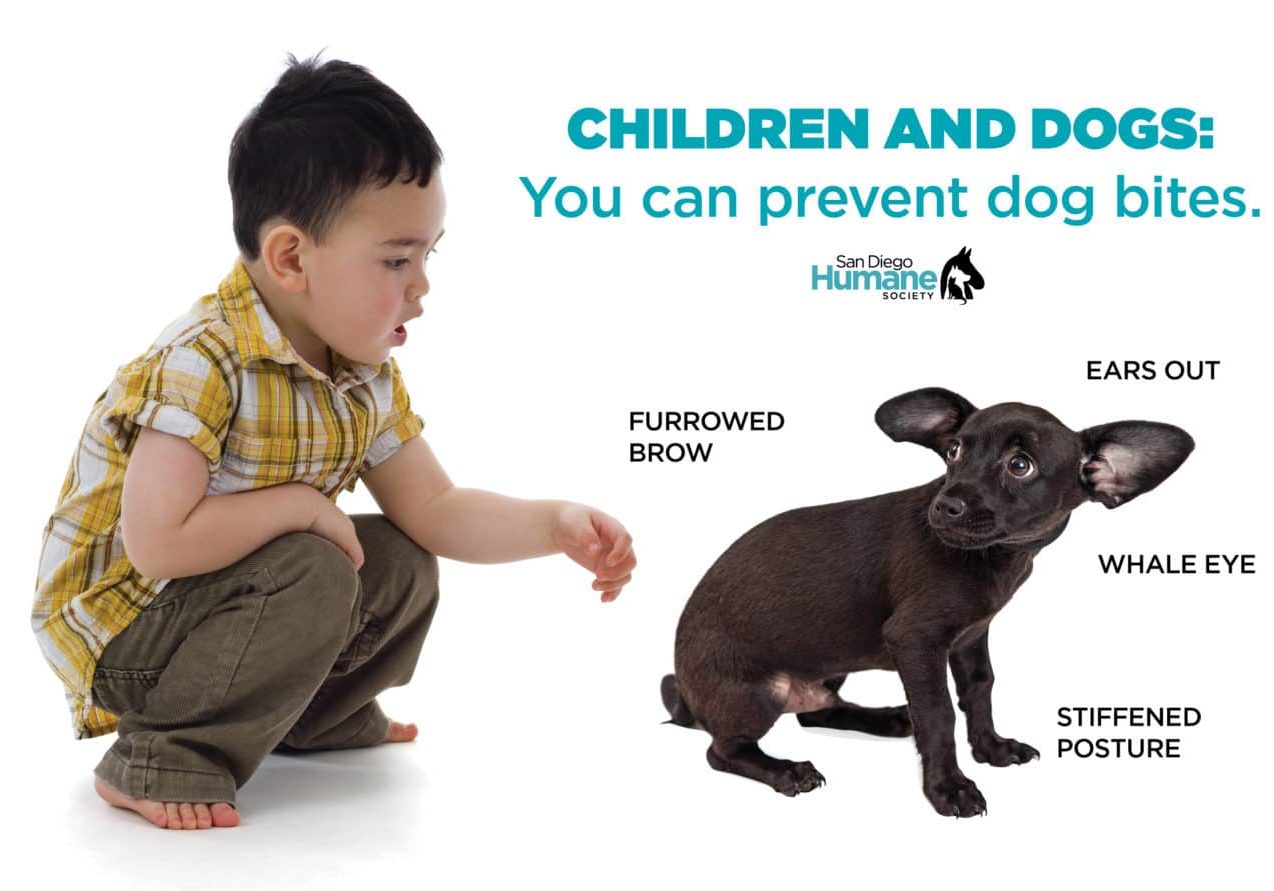 Children Interacting With Dogs