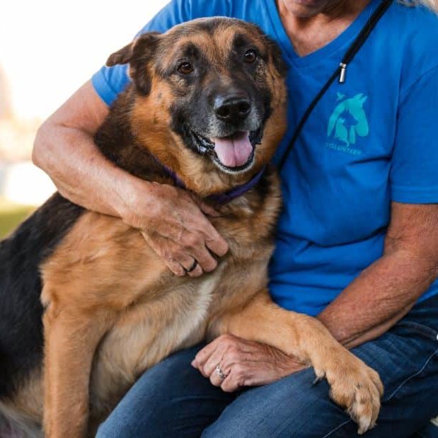 Eustace 964557 SDC KD 092925 1