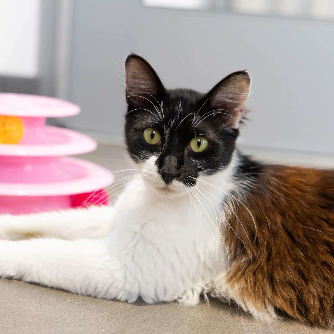 Felipe 954487 SDC 062525 14