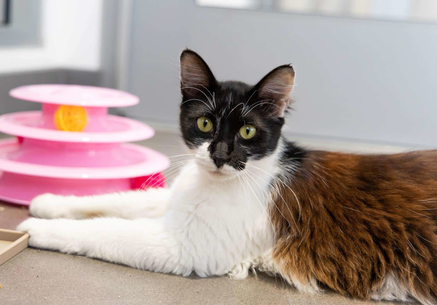 Felipe 954487 SDC 062525 14