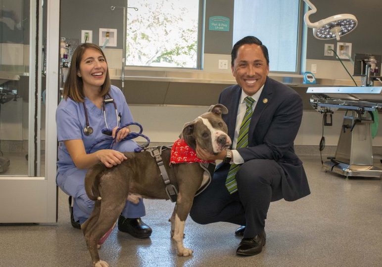 First Center For Shelter Medicine Opens