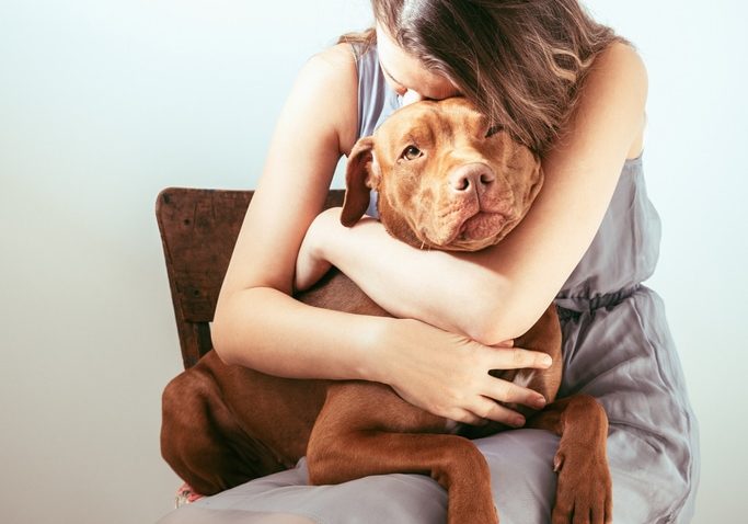 Charming, adorable puppy of brown color and a cute woman. Close-up, indoor. Day light. Concept of care, education, obedience training, raising pets
