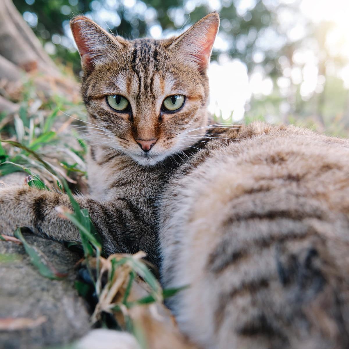 GettyImages 1864688848