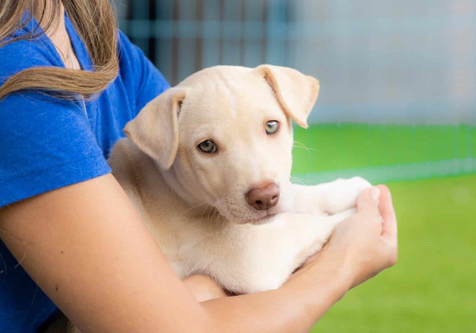 Give Humane 062525 21