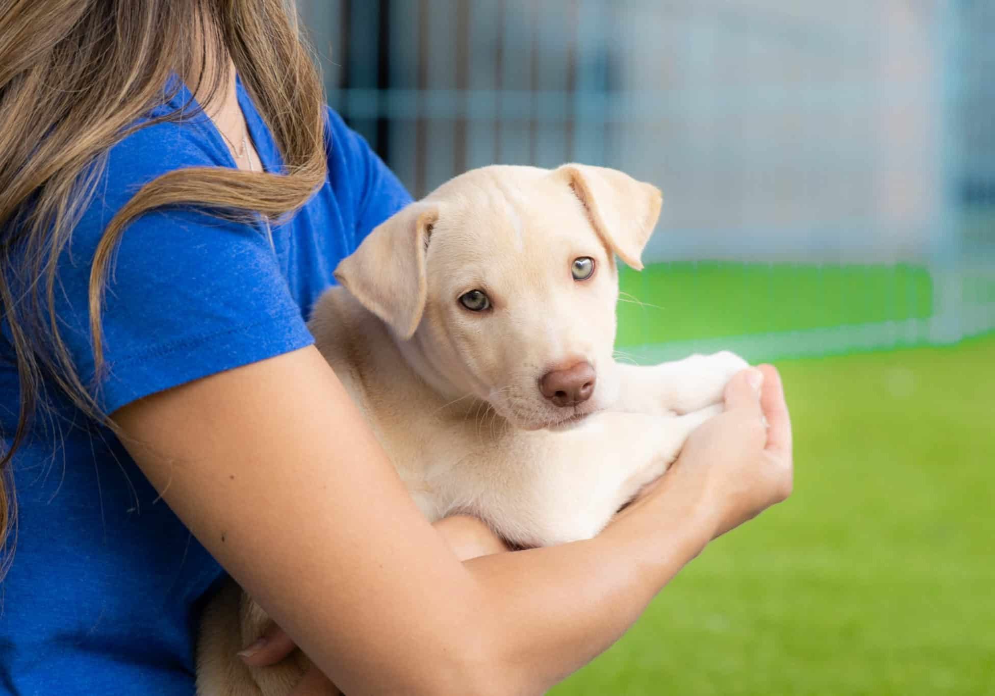 Give Humane 062525 21