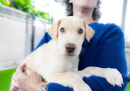 Give Humane 062625 4