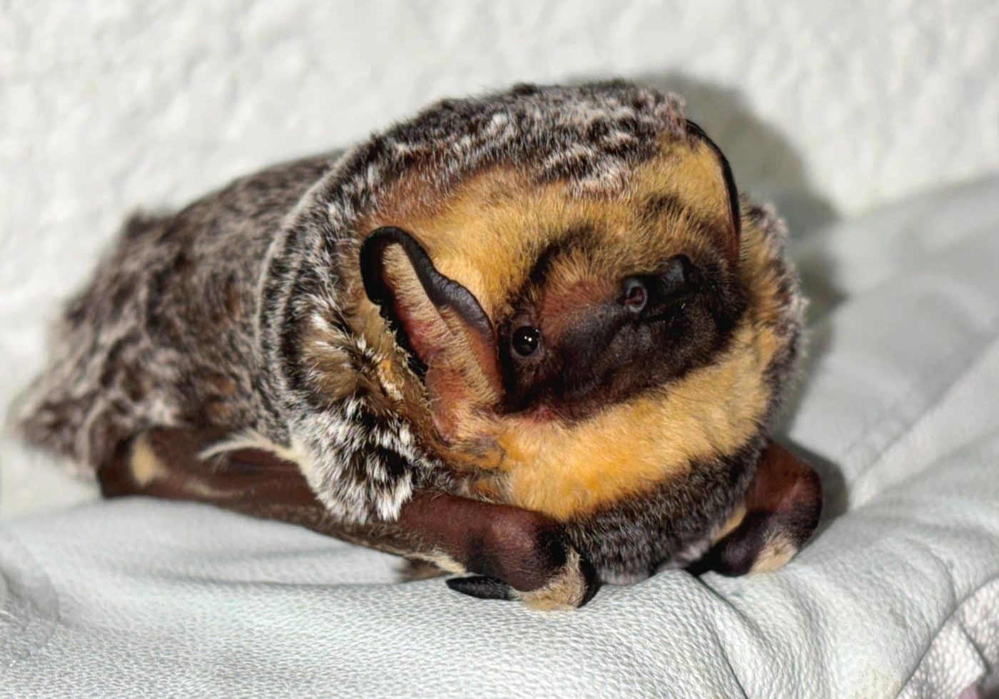 IMG 2025 Cropped By Cindy Myers (1)