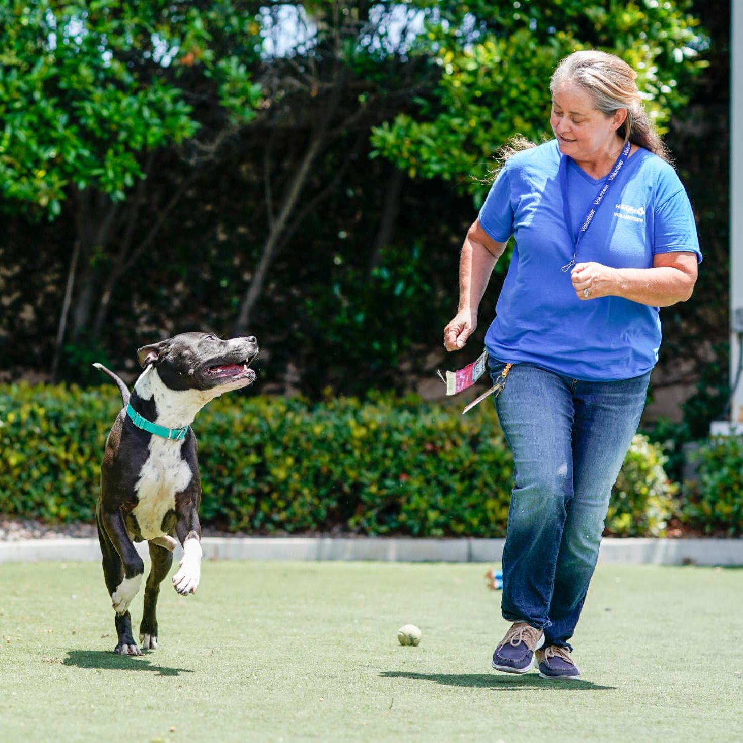 Person running with dog