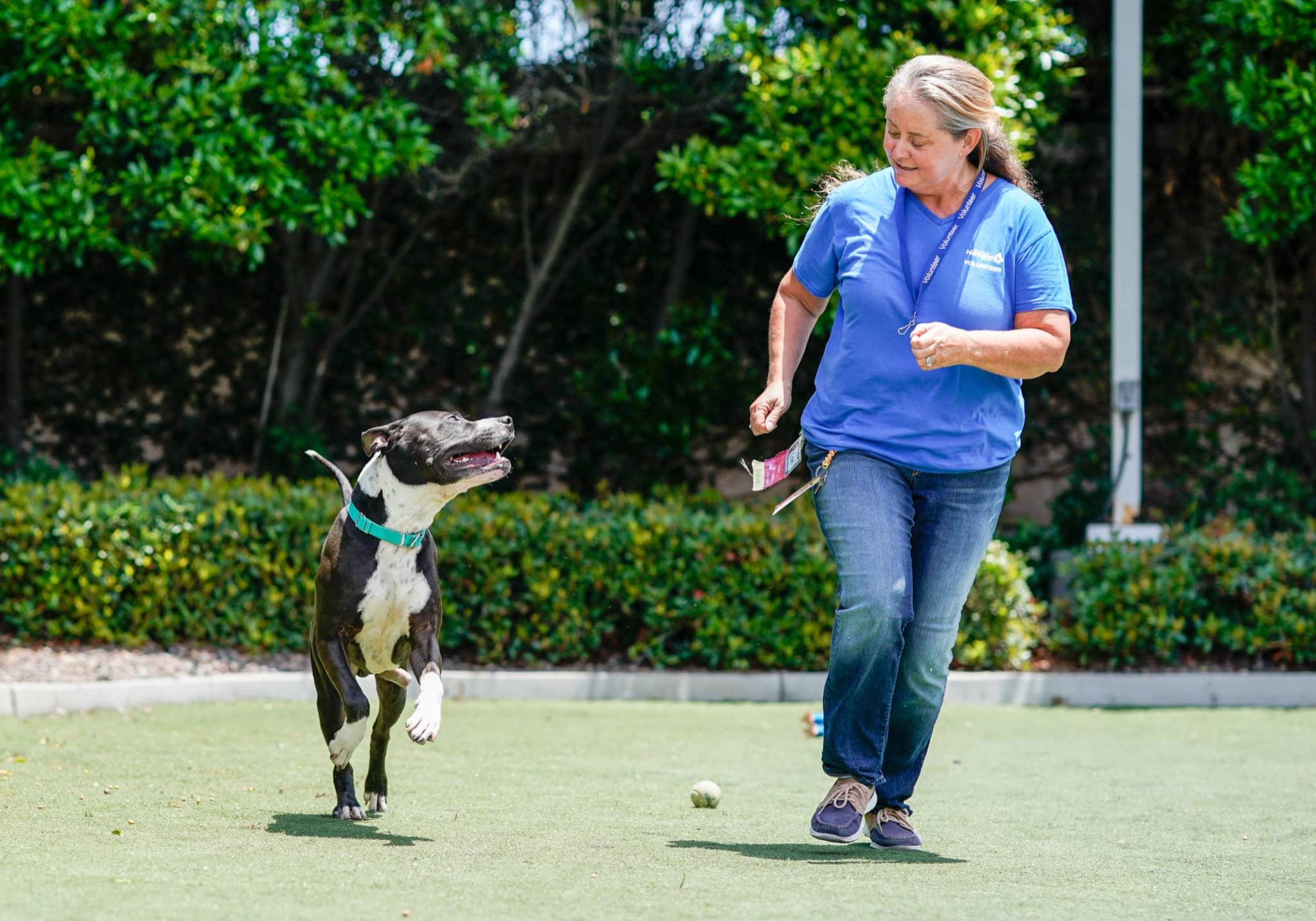 Person running with dog
