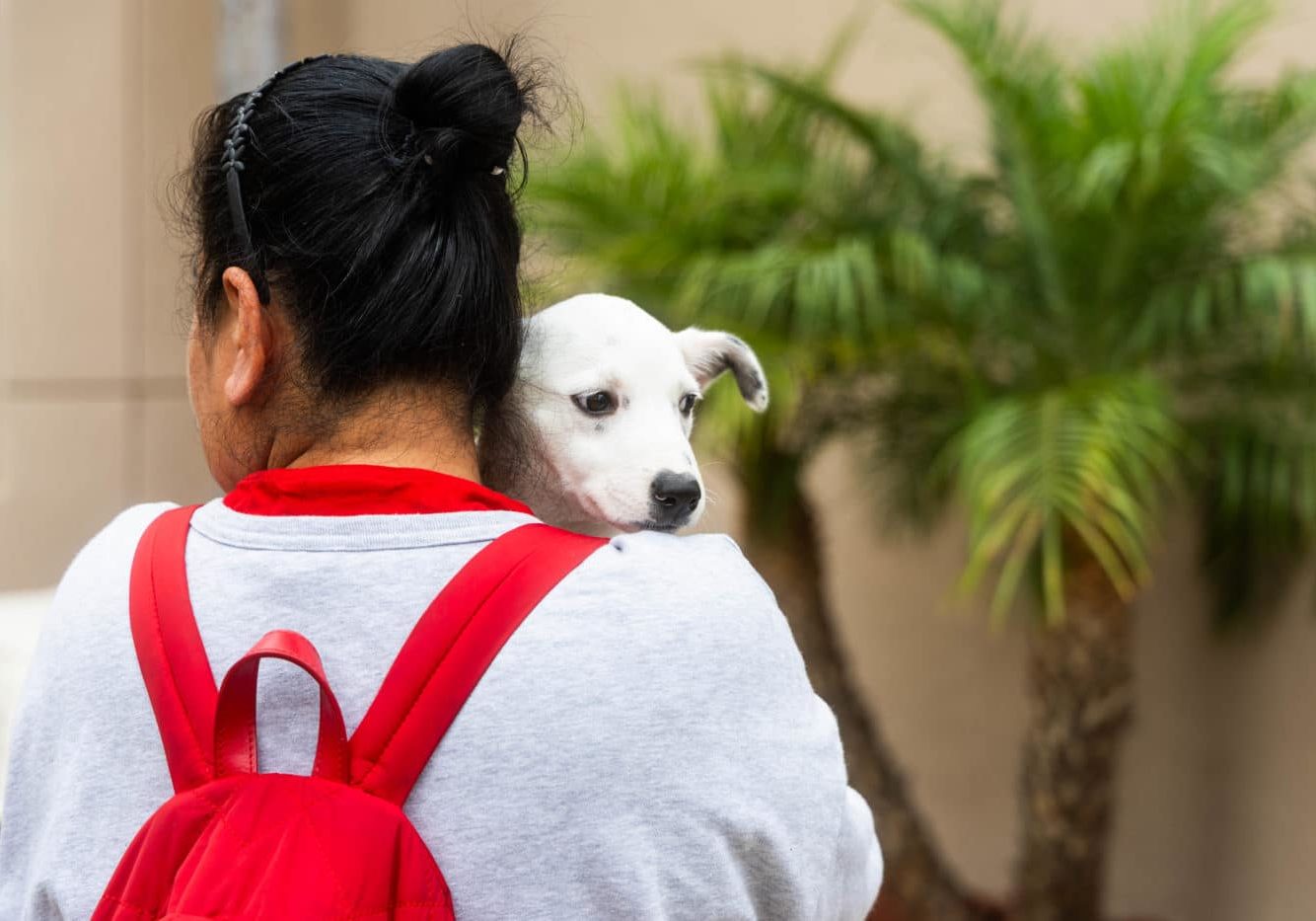 Kathys Legacy Partners With SDHS For Domestic Violence Victims