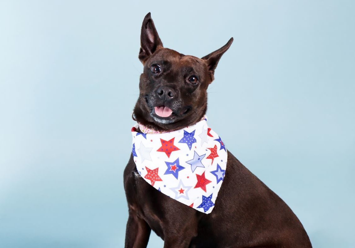 Millie Photoshoot 061523 17 Mo 00036575