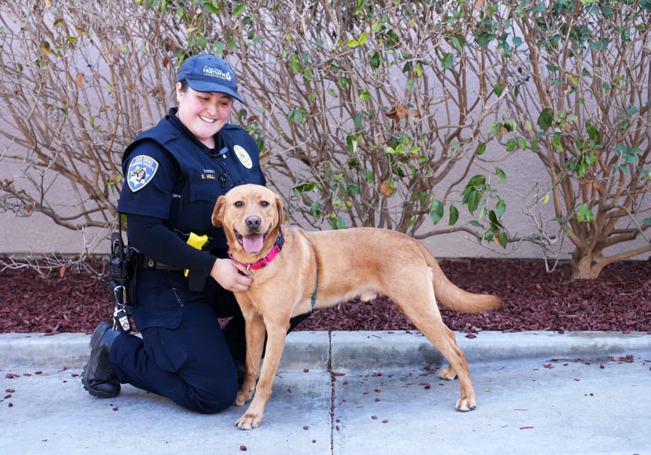 A dog standing next to the Humane Law Officer who rescued him