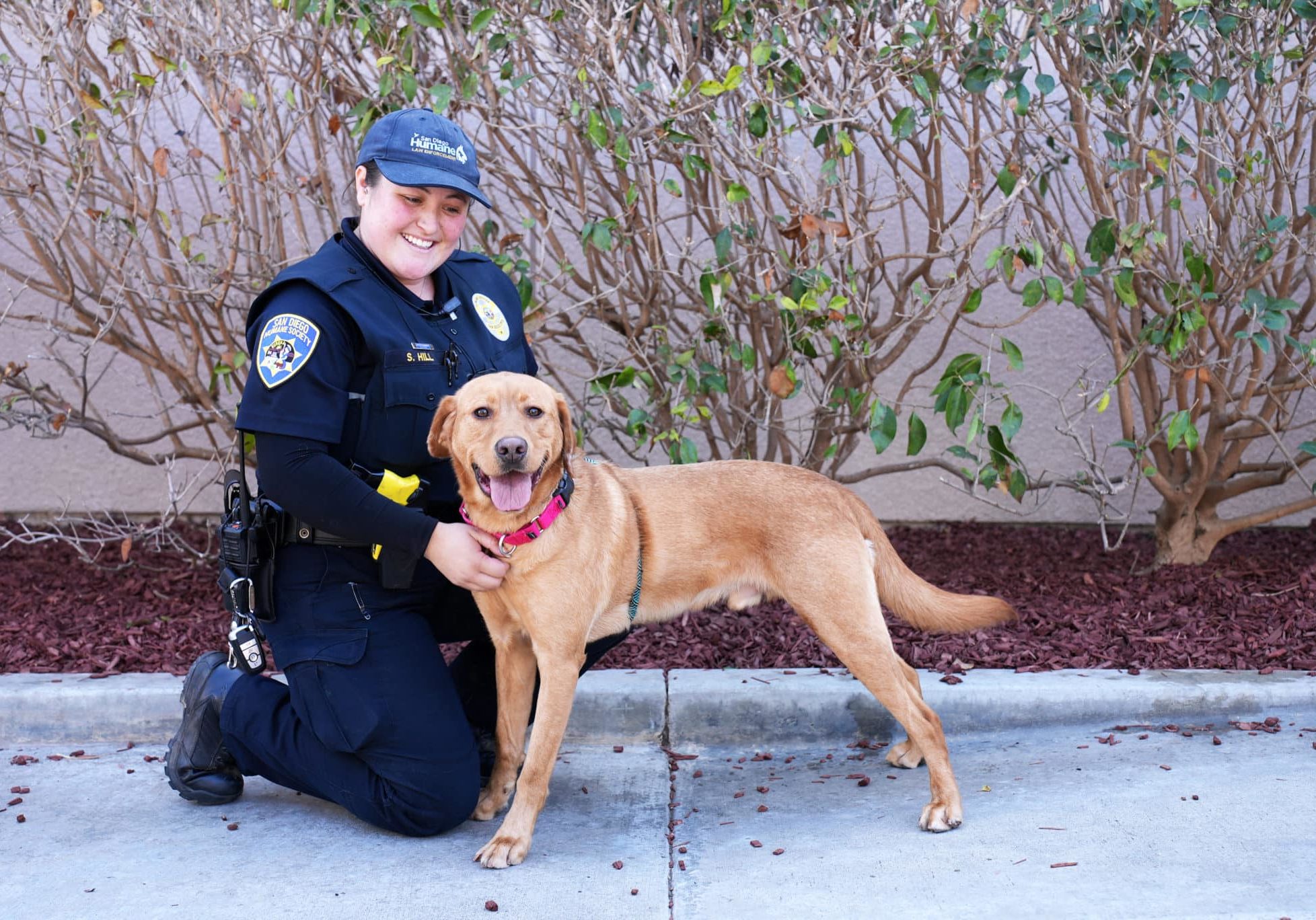A dog standing next to the Humane Law Officer who rescued him