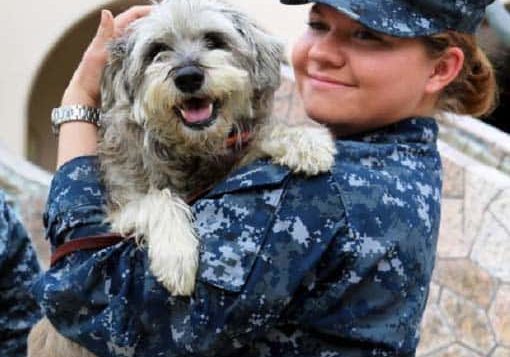 Pets Need Help Reconnecting After Deployment, Too