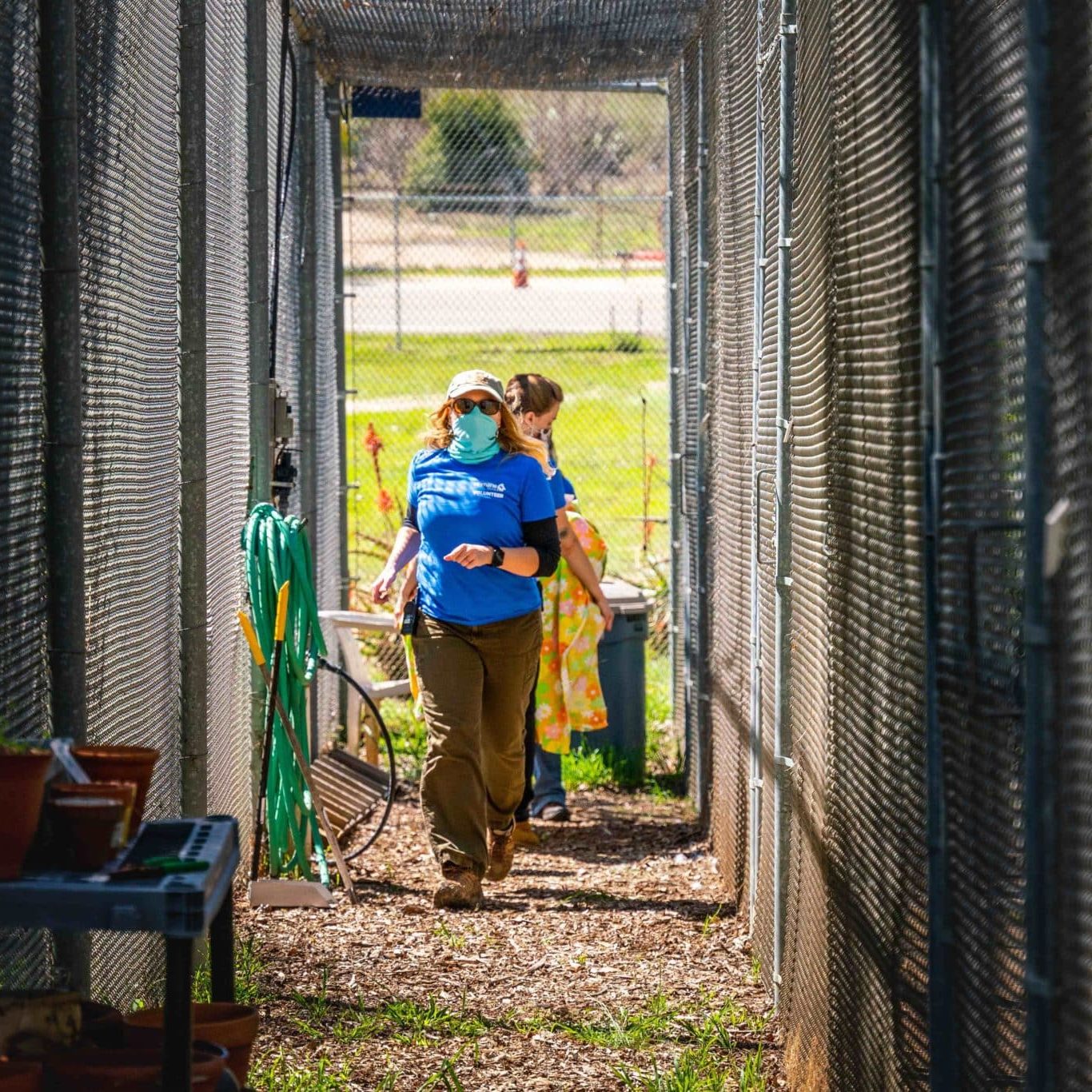 Volunteers at Project Wildlife Ramona.