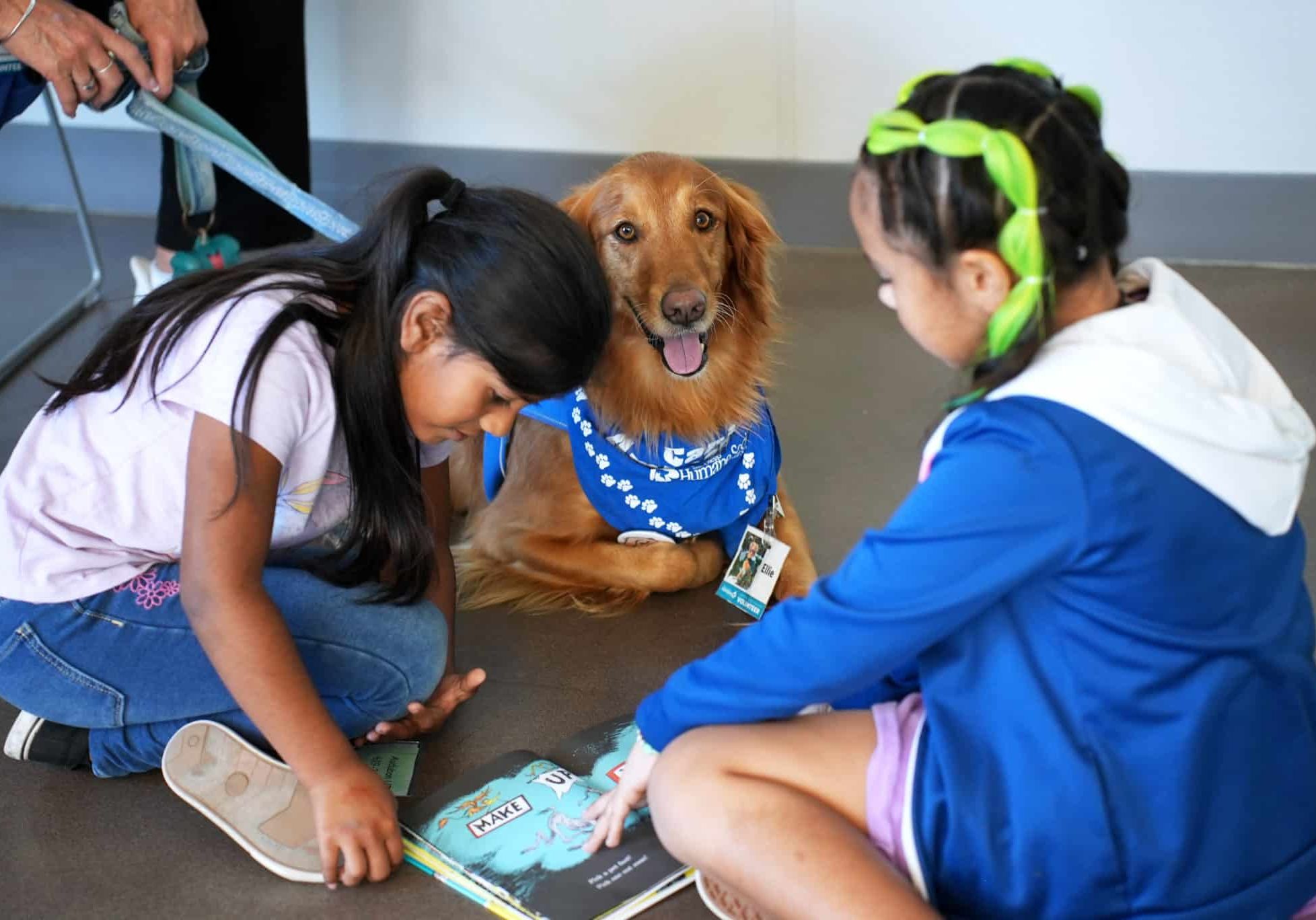 Children reading to a dog
