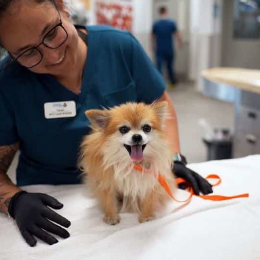 Rue 825273 Photo1 (2)