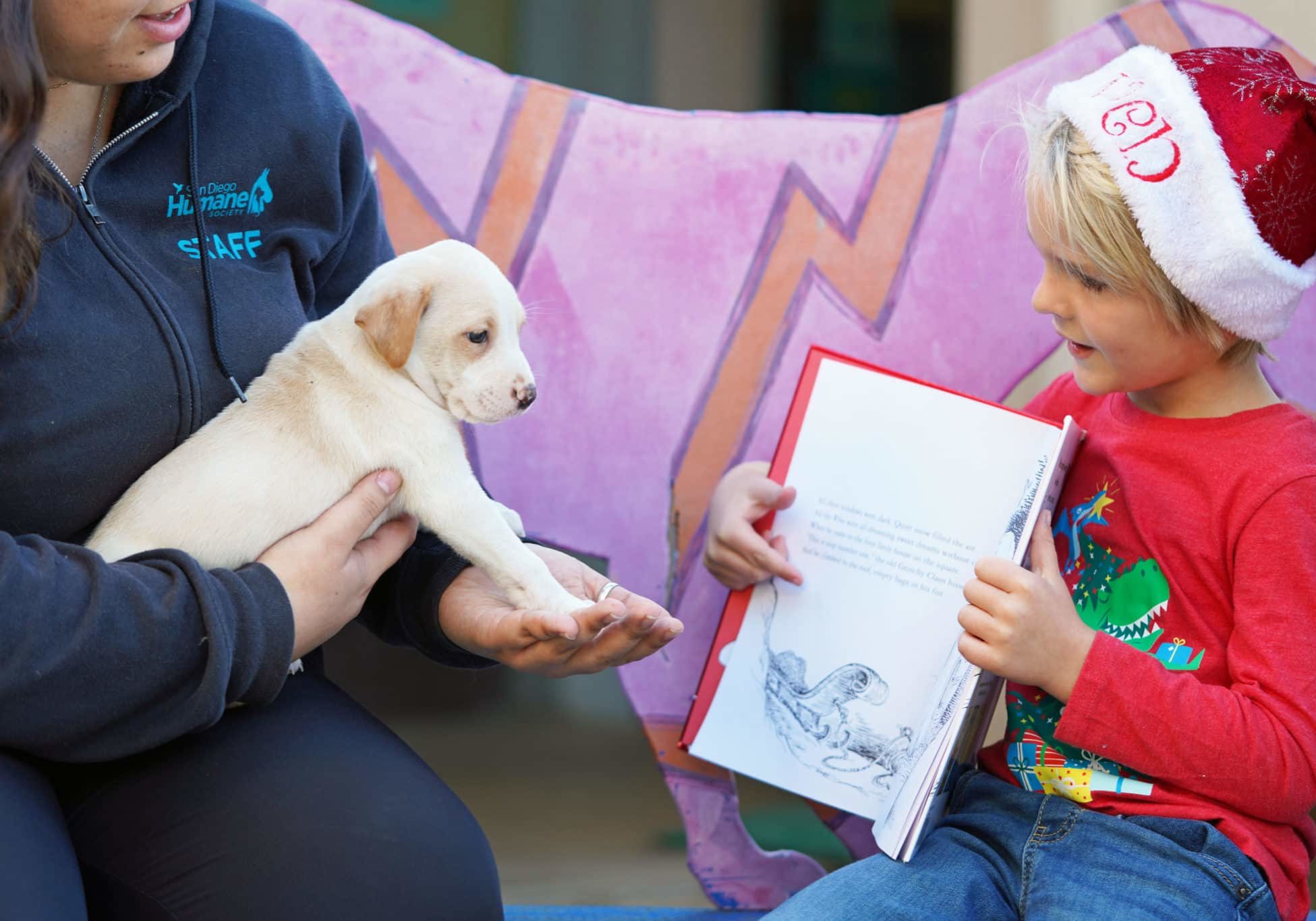A child reading to a puppy