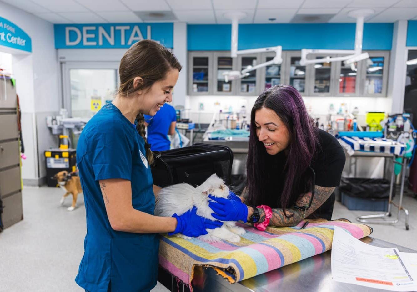 SDHS SpayNeuterClinic 022526 15