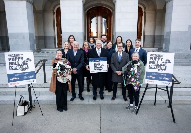 San Diego Humane Society Sponsors Bills To Stop The Puppy Mill Pipeline In California