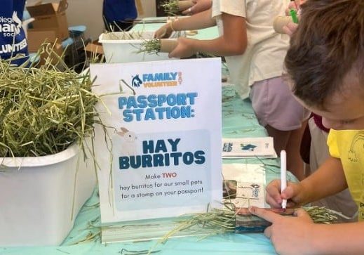 Young person volunteers with San Diego Humane Society.