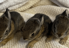 Screenshot 2026 02 03 At 8.24.03 AM