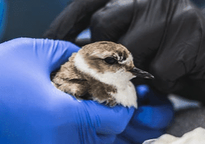 Screenshot 2026 02 05 At 7.53.57 PM