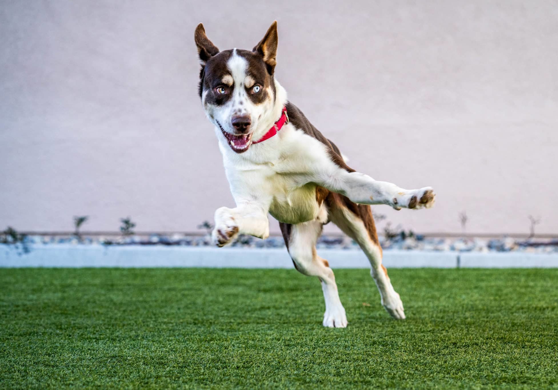 Spooky 779490 JR 121624 12