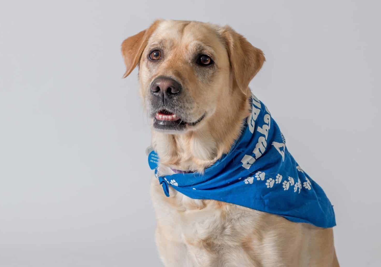 canine ambassador-marcia with larissa-cd-062917_2017.jpg