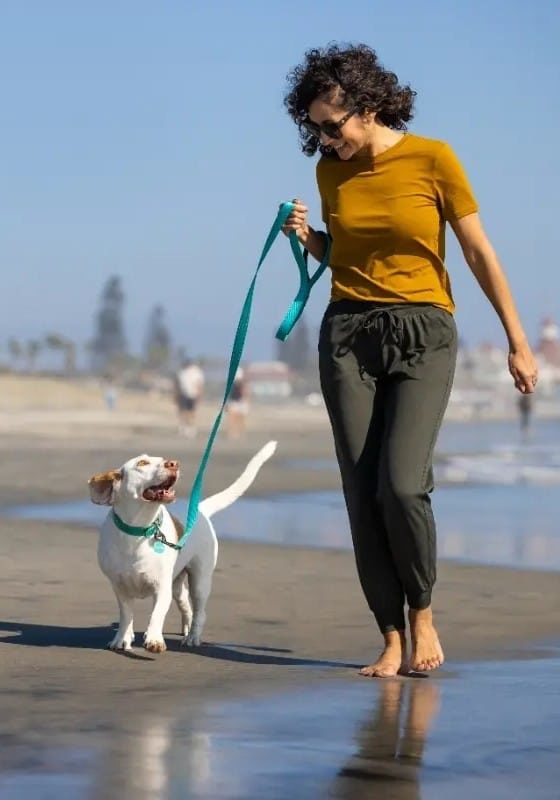 Dog and woman walking on the beach