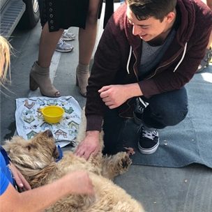 De Stress Activities